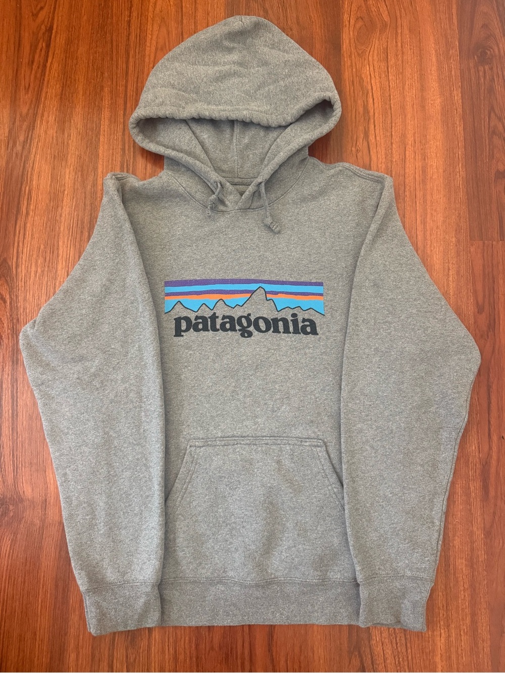 Patagonia Men's Grey Logo Pullover Hoodie